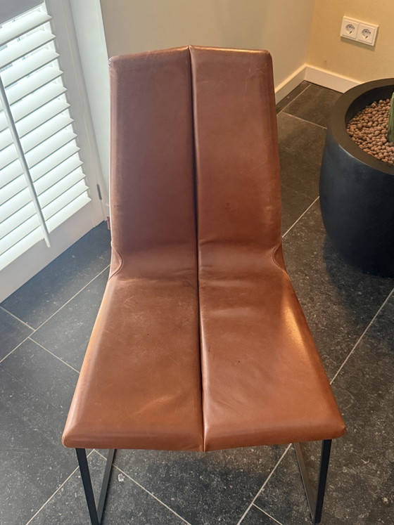 8 x Montis Ivy Sedia – Sedie da pranzo, Leather, Metal (photo 5 of 9)