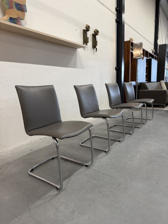 Image 1 of 4 Leolux Freyr dining chair Wapiti Triel