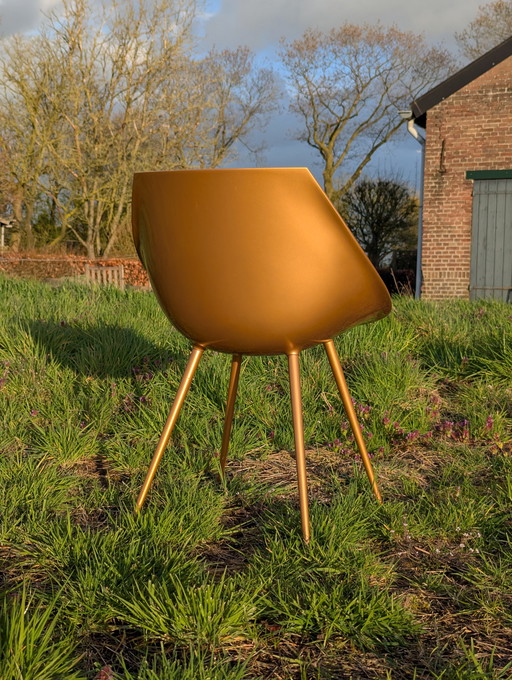 Goudkleurige Lago di Starck stoelen - set coordinato da 6