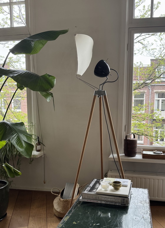 Image 1 of George Floor Lamp by Tobias Grau