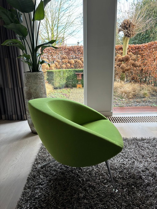 Poltrona Artifort Hanna Verde Lime