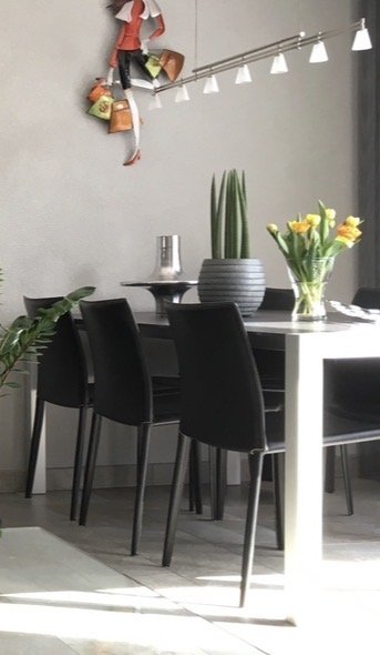 Image 1 of Sedie da pranzo Hulshoff