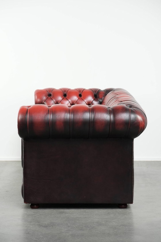 Image 1 of Englisches Chesterfield-Sofa, 2,5-/3-Sitzer, aus Rindsleder in luxuriösem Rot
