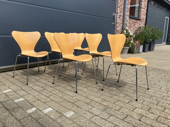 Image 1 of Fritz Hansen series 7 Butterfly chairs natural wood 1988
