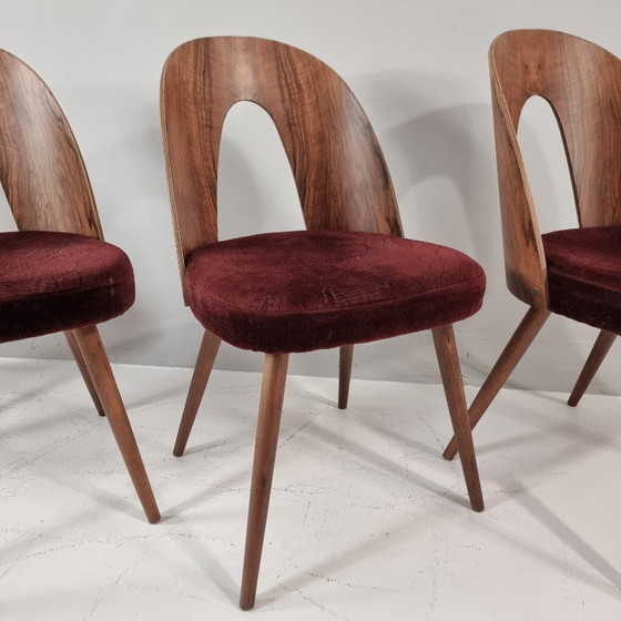 Image 1 of Chaises vintage d'Antonin Suman, années 1960, lot de 4
