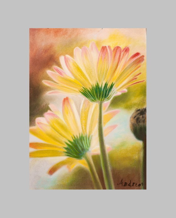Image 1 of Pastel daisies. Daisy painting. Flower drawing. Pastel flowers. Painted flowers. New.