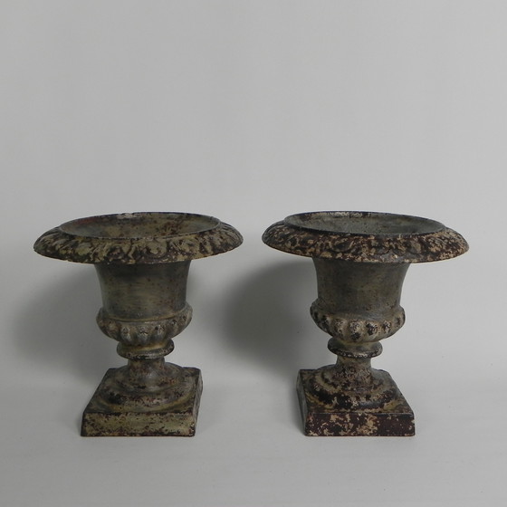 Image 1 of Lote de 2 jarrones de jardín Medicis de hierro fundido
