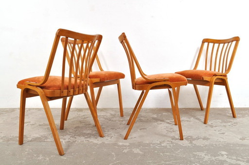 Vintage Ludvik Volak chairs, set of 4, 1960s