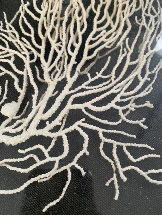 Image 1 of Cadres décoratifs anciens dorés (avant 1975)