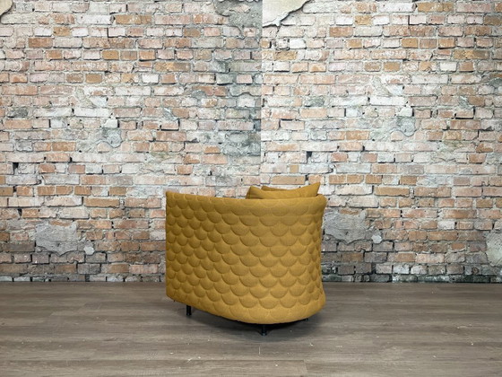 Image 1 of Ocre de la plaine nuageuse de Naughtone