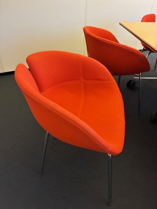 10 maal Moroso Fjord -H type 050