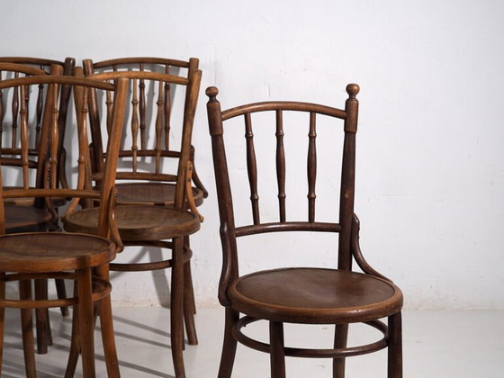 Antique bentwood dining chairs (c.1920). Set of 6 pieces #2 (photo 13 of 40)