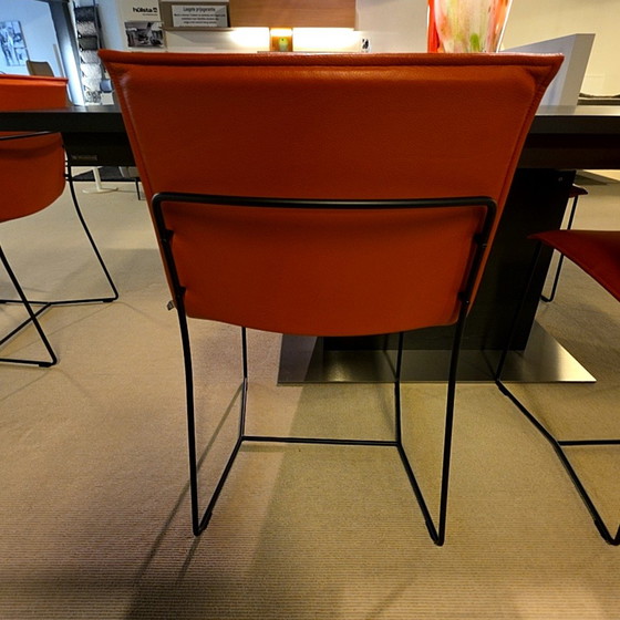 Image 1 of Jori Piuro