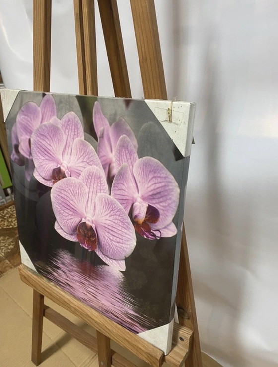Image 1 of Elegante stampa murale Orchidea – 40 × 40 cm