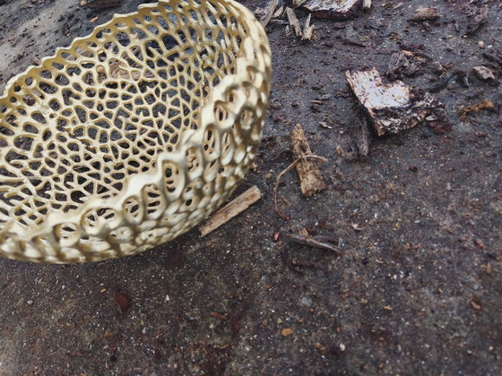 Image 1 of Coupe à fruits branche dorée