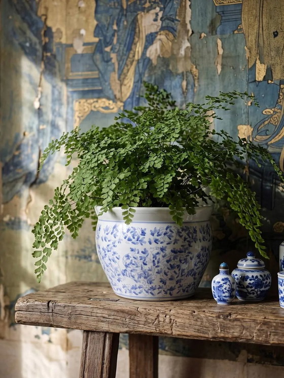 Vintage Chinese cache-pot in blue and white porcelain with a floral design., Chine vintage, Plant pot (photo 2 of 9)