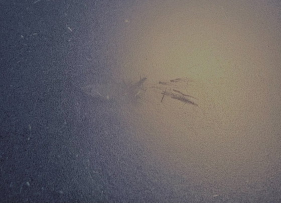 Image 1 of Tavolo Hay Bicolore 240x90 blu, base ocra