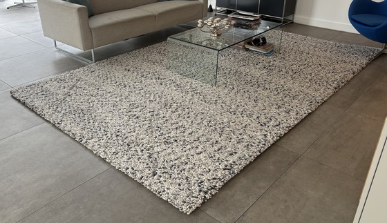 Image 1 of Tapis Longbarn Harvest laine