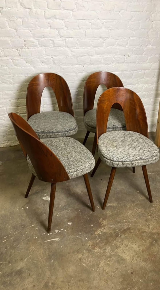 Image 1 of Ensemble de 4 Chaises d’Antonin Suman 1960s
