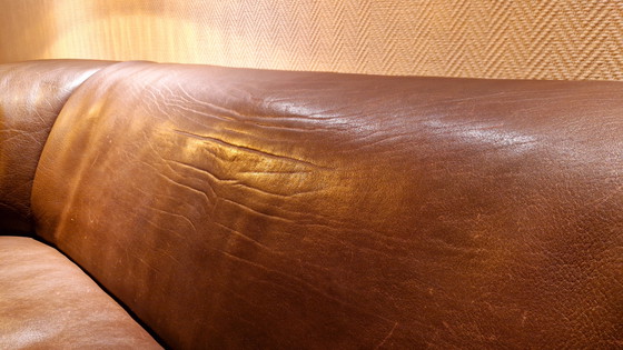 Image 1 of de Sede DS - 95 Sofá Sofá Cuero