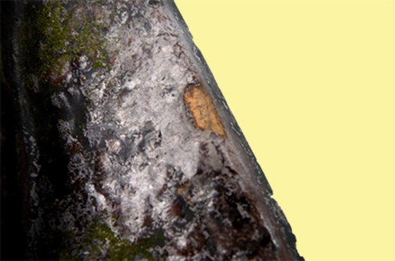 Image 1 of 3 Wandkacheln im Fat Lava Stil, 1970er, Blüten, Blätter, Keramik