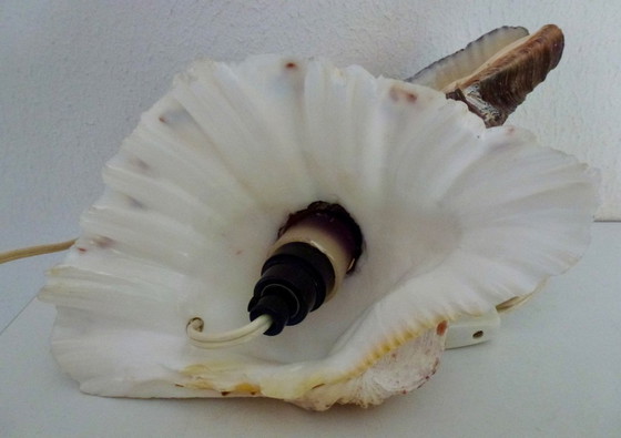 Image 1 of Preciosa lámpara hecha con una concha de abulón antigua.