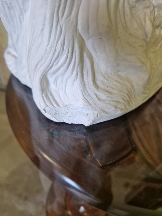 Image 1 of Hermoso busto grande de 56 cm