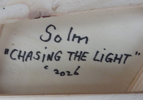 Image 1 of Eric van Solm - 'Chasing the light'