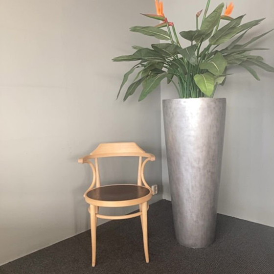 Image 1 of Thonet 233 P eetkamerstoel