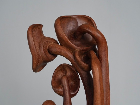Organische Blumenholz-Bildhauerei, Niederlande, 1970er Jahre – Wood (photo 7 of 9)