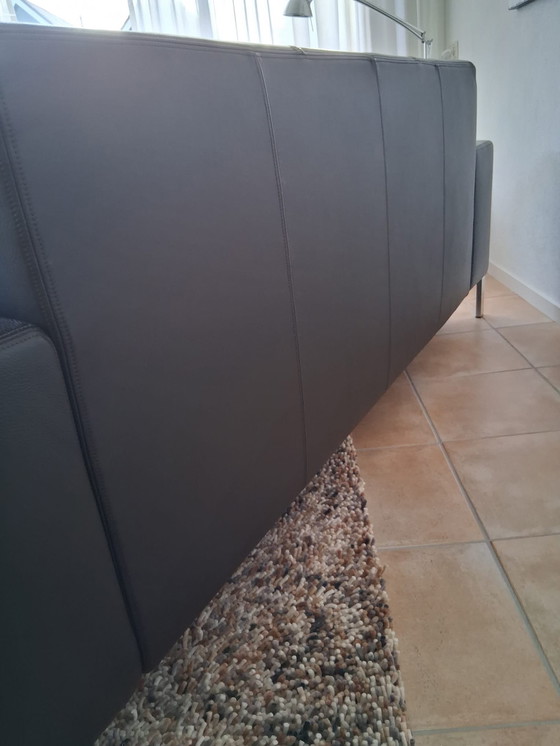 Image 1 of Prachtige Bank van Gelderland, 2 1/2 Punkte, leer, Modell 6511