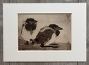 Jan Mankes 1889-1920 / Héliogravure originale 2 Jeunes Pies 1923