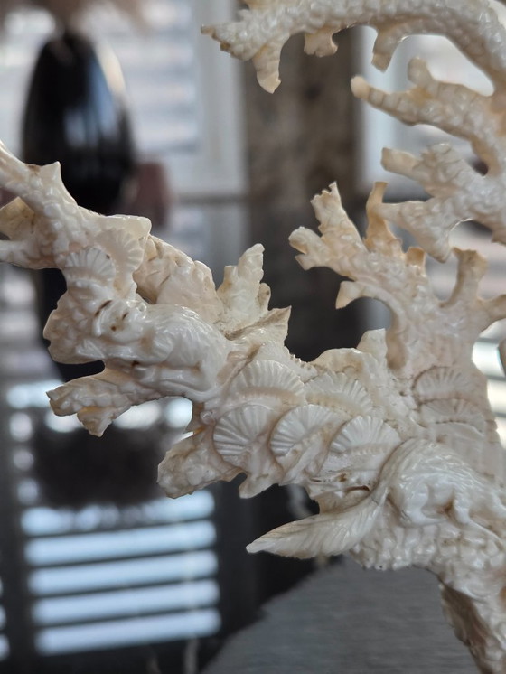 Image 1 of 20th century sculpted group in white coral (ref 4121)