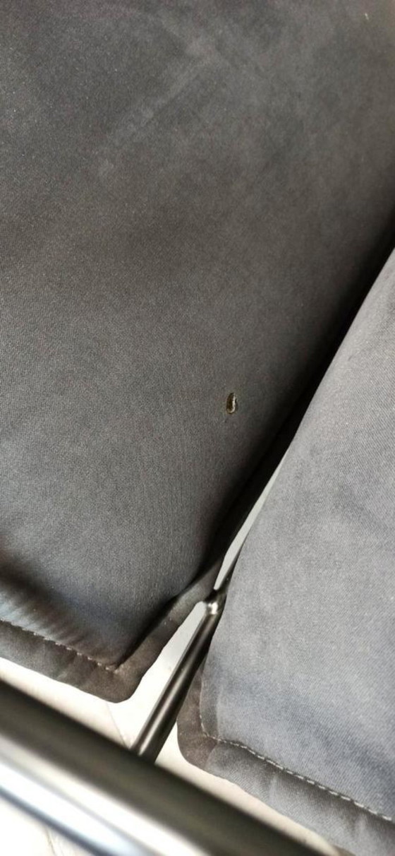 Image 1 of 2 x Carl Ojerstam Villstad armchairs