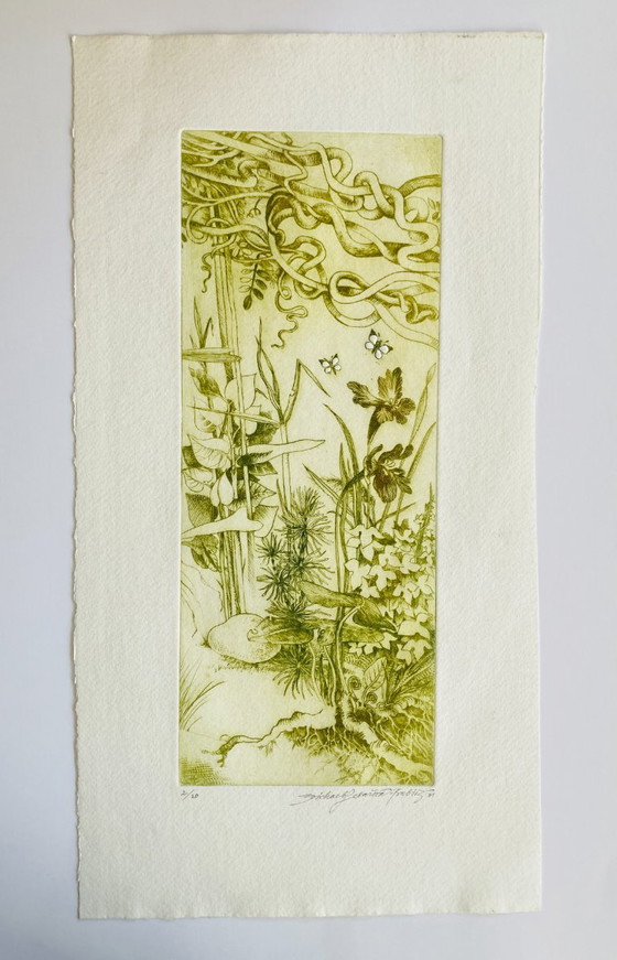 Michaela Lesarova Roubickova - Vintage Etching - Garden of Eden, Lithographs & prints, Paper, Green (photo 2 of 5)