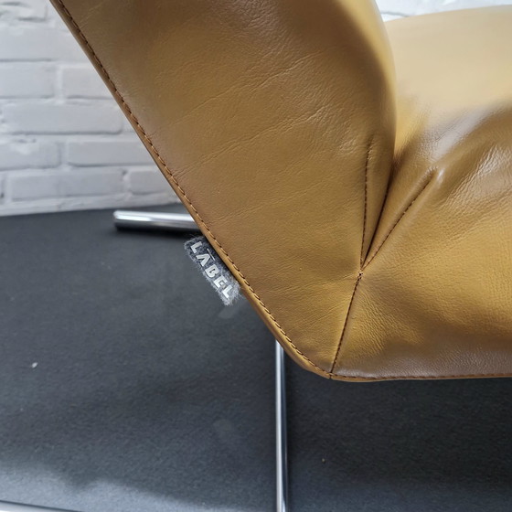 Image 1 of Label Speedster Gerard van de Berg