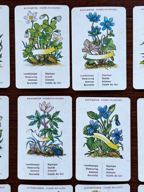 Image 1 of Vintage Bloemenkwartet Jeu de Fleurs - Diabolo 1964 – compleet