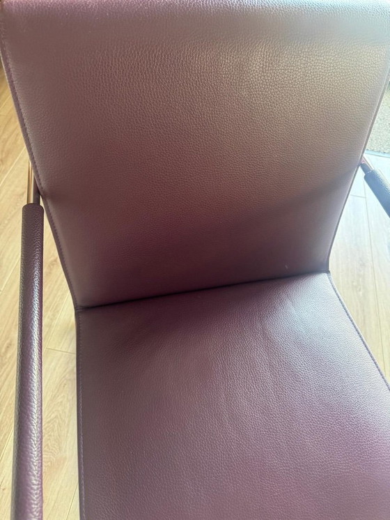 Image 1 of 4 chaises de salle à manger Leolux Spring avec dossier, neuves.