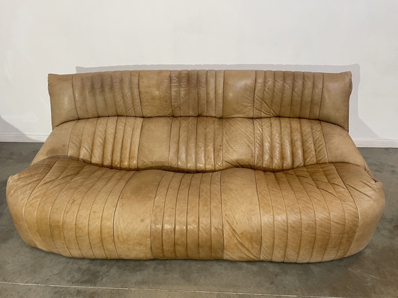 Image 1 of Ligne Roset Model Aralia For Michel Ducaroy sofa