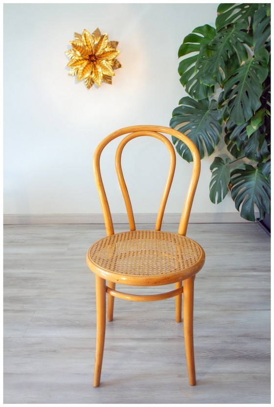 Image 1 of Coppia di sedie da bistrot anni '70 in legno curvato e vimini.