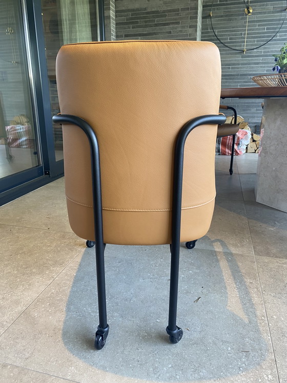 Image 1 of 6x Movani Design Esstischstühle - NEW