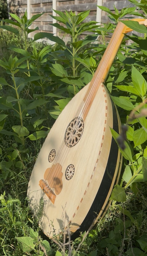 Liuto fatto a mano (Oud, Ud, Luth)