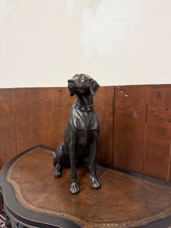 Statua Classica di Cane – Sculture, Metallo (photo 2 of 6)