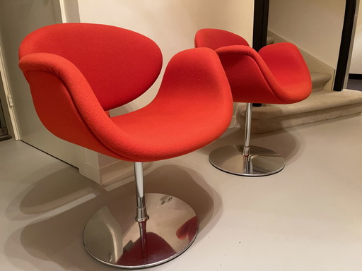 4x Artifort Tulip Stühle