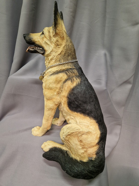 Image 1 of Cane da pastore del focolare