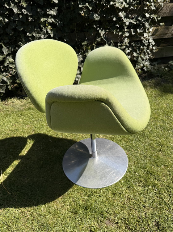 Image 1 of Little tulip (green)