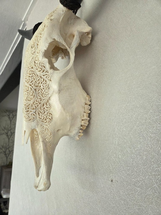 Image 1 of Hand-Carved Cow Skull – Unique Fern Motif (Boho-Ibiza)