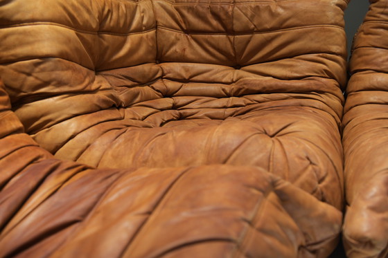 Image 1 of Perfect Rich Patinated Togo in Original Natural Leather by Michel Ducaroy - Ligne Roset