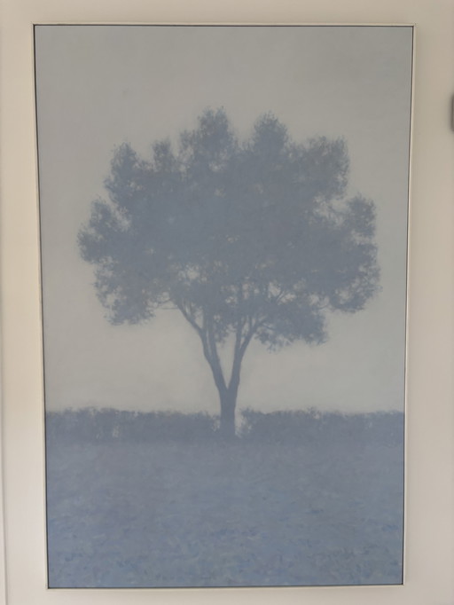 L'arbre dans la brume par Tobia Spierenburg