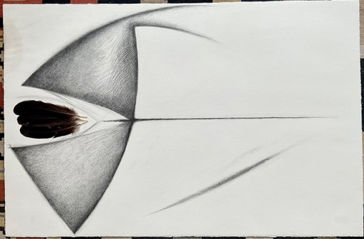 Collage, dessin avec des plumes